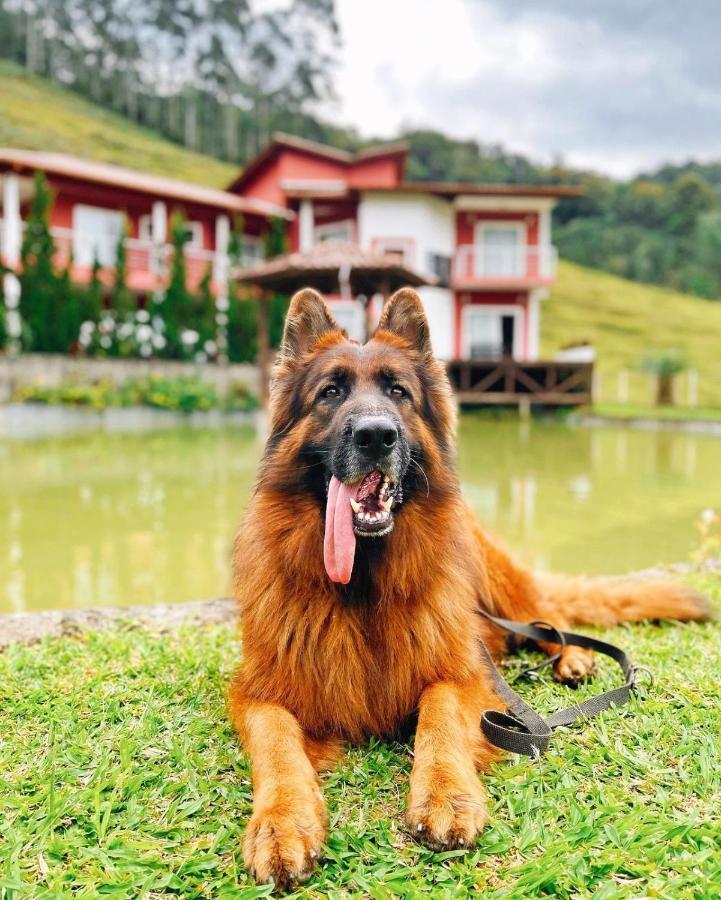 Ampla Casa De Campo - Afaven Aguas Mornas 외부 사진